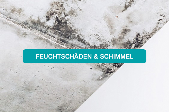 Feuchtschäden